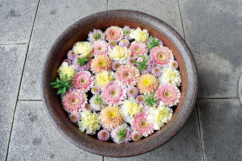 鉢いっぱいに花を浮かべた「行田花手水」