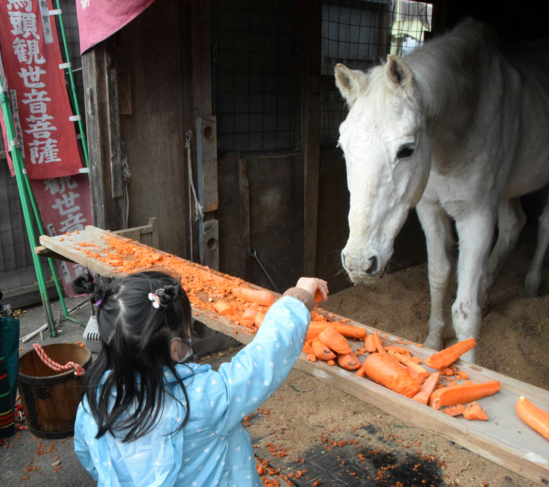 御神馬にニンジンを与える参拝者＝埼玉県東松山市岡の妙安寺