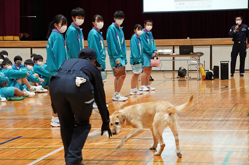 麻薬探知犬メルバ号のデモンストレーションが行われた＝加須市立加須東中学校