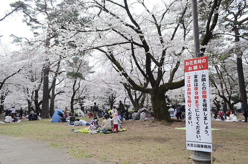 桜の下で会食を楽しむ花見客ら＝２１日、さいたま市大宮区