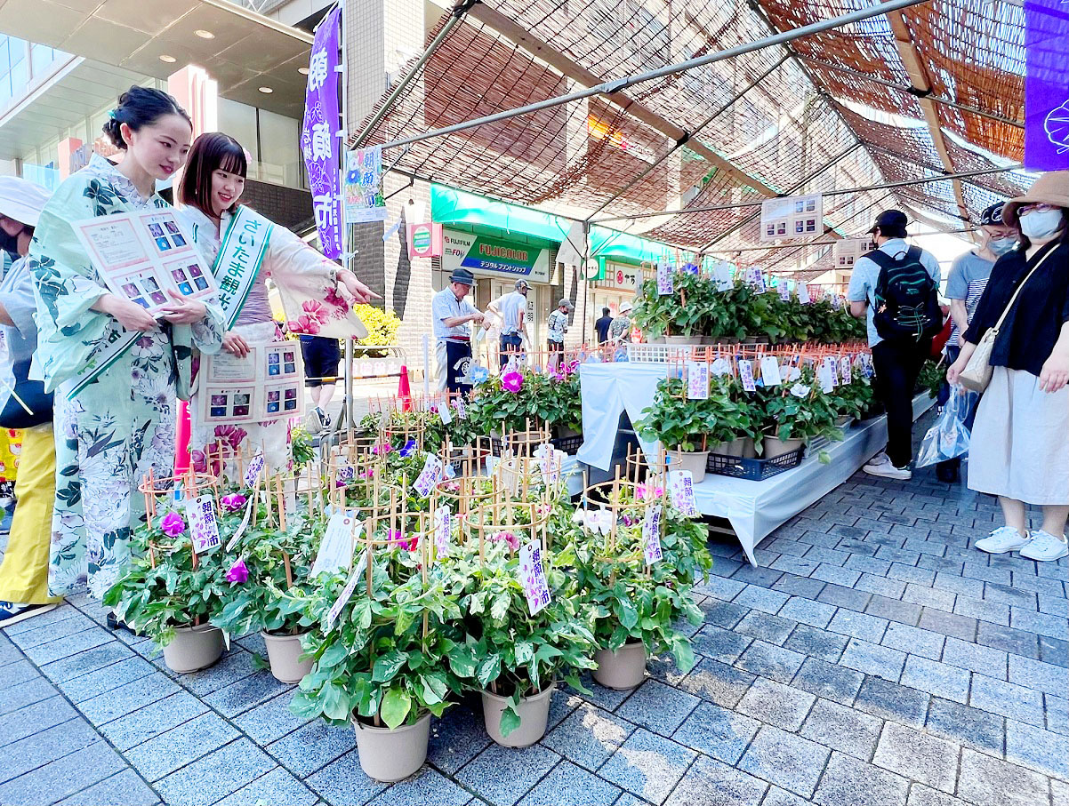 コロナの制限なしで開催された「人形のまち岩槻　朝顔市」。さいたま小町の2人（左）も販売を手伝った＝2日午前、さいたま市岩槻区