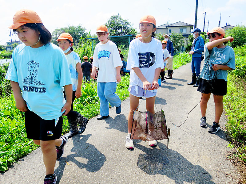 生態系保護協会加須支部が仕掛けた網を持って生き物調査場所に移動する元和小の5年生＝埼玉県加須市北下新井の「お花が池」