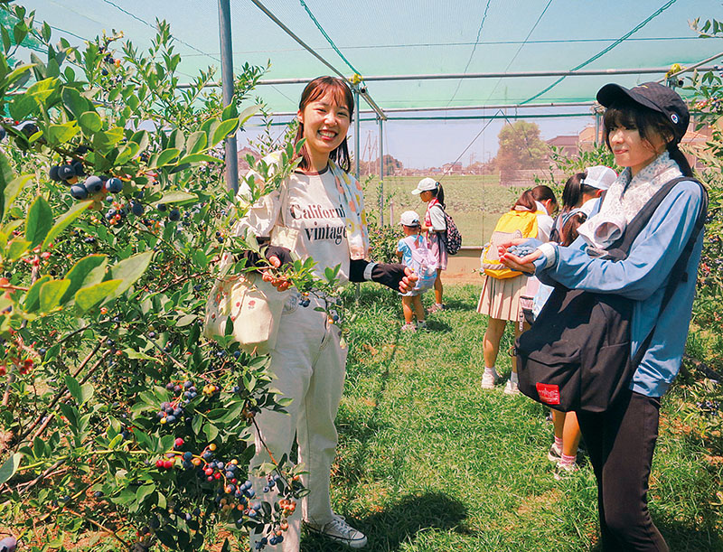 ブルーベリーの摘み取り食べ放題を楽しむ引率教諭と児童＝24日、埼玉県加須市志多見のむさしの村