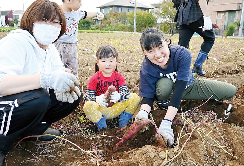 収穫したサツマイモを手にする参加者たち＝川越市の「川越芋掘観光初雁組合　山田園」