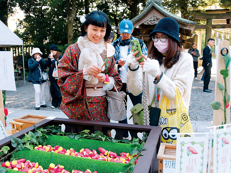 本格的に頒布が始まった「川越いもみくじ」を引く参拝客