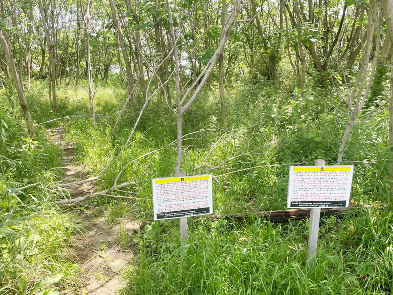 荒川上流河川事務所が立てた警告の看板。コースへと続く道は倒木でふさがれていた