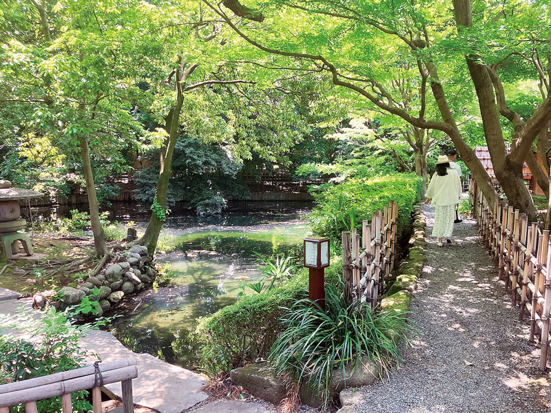 新緑の星渓園。散歩を楽しむ人々も＝熊谷市鎌倉町