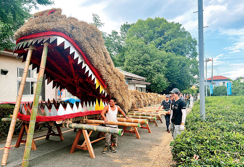 2日間かけて制作した龍蛇の体＝28日午後、鶴ケ島市脚折町の脚折会館