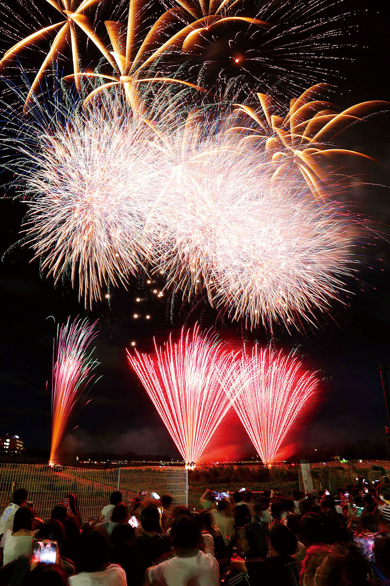 夏の夜空を美しく彩った花火＝28日夜、さいたま市大宮区寿能町の大和田公園付近