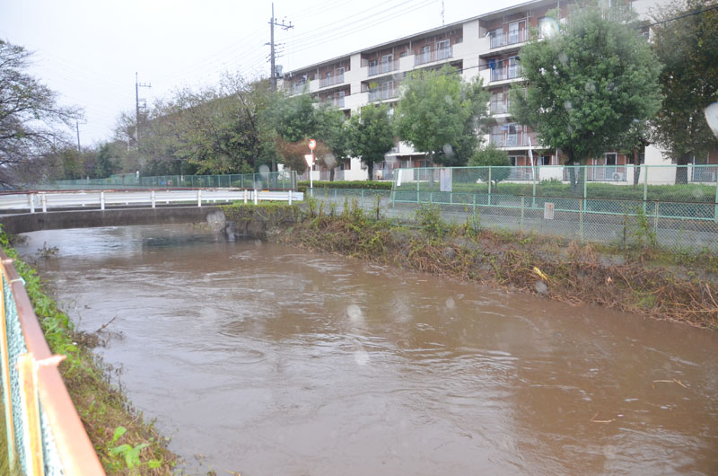 遺体が発見された駐車場近くを流れる大谷川。大雨で水位が上昇した状態＝2019年10月、坂戸市東坂戸