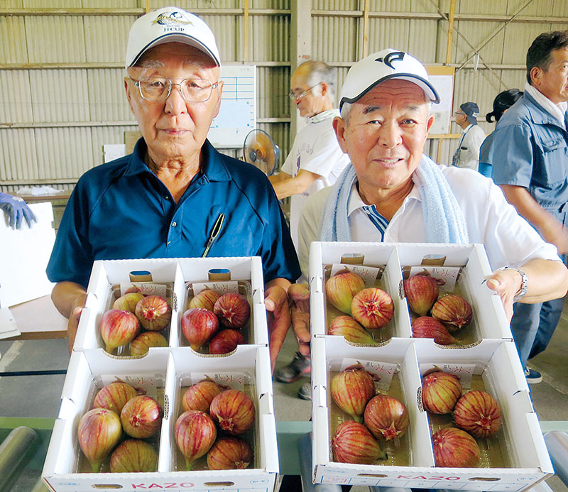 「イチジクの出来栄えは上々」と話す若山和一組合長（右）と坂本君夫副組合長＝8日午後、加須市中種足の種足野菜集荷所