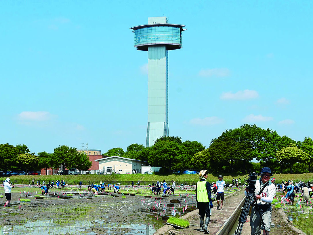 「行田タワー」と命名される古代蓮の里にある古代蓮会館の展望室＝行田市小針