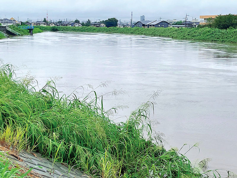 大雨で増水した新河岸川＝30日午前8時12分、川越市寺尾