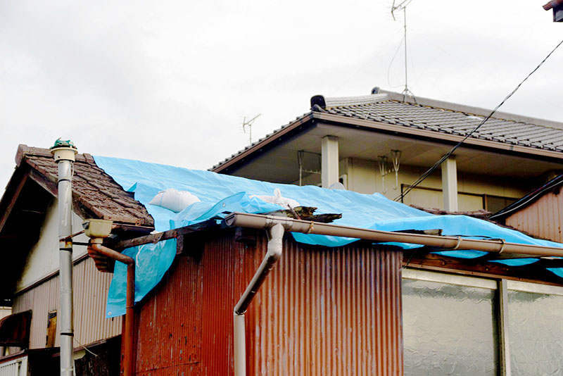 突風で屋根が飛ばされ、ブルーシートで対応する住宅＝31日午後、蓮田市閏戸