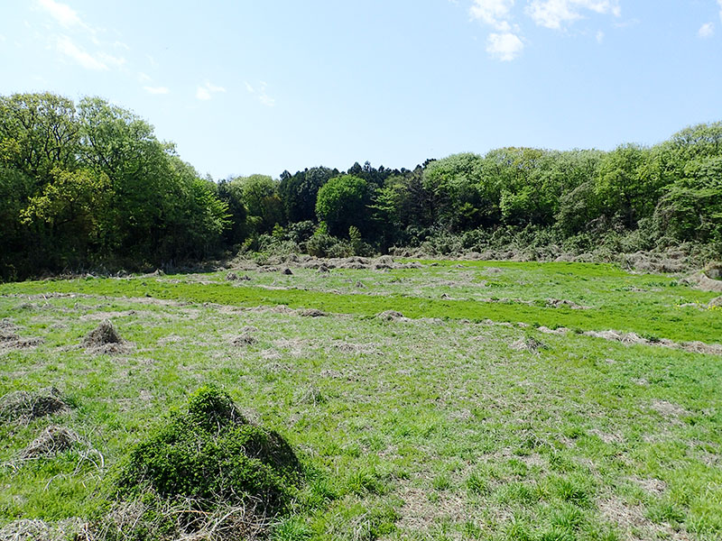 北本のデーノタメ遺跡、国指定史跡に決定