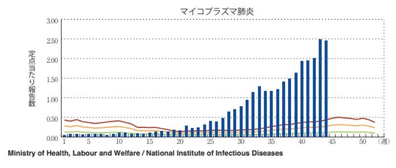 マイコプラズマ肺炎流行を示すグラフ。青いバーが本年度の定点報告数。過去5年間の週平均が緑、黄、赤色の線（データのばらつきを考慮し3本）＝国立感染研究所の感染症週報　2024年第44週（10月28日〜11月3日）より