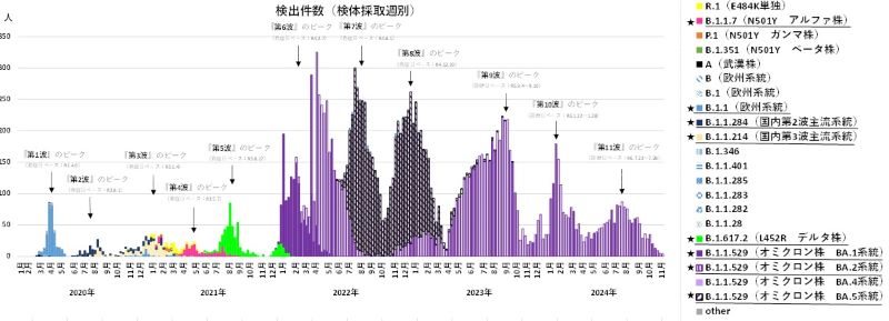 新型コロナウイルス　検出ゲノムの系統別推移 （2024年12月11日現在）＝埼玉県発表資料から抜粋