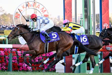 保存状態良好☆ JRA単勝馬券【第49回有馬記念 中山競馬5回8日9レース