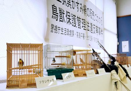 　警視庁が押収した違法に捕獲された野鳥など＝２６日午前、警視庁高島平署