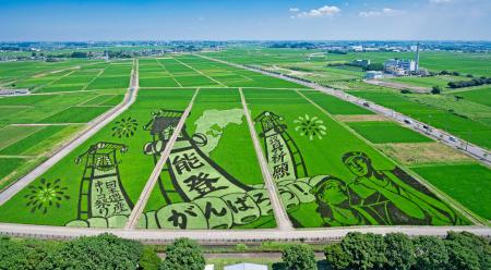 石川県能登地方の「キリコ祭り」を描いた埼玉県行田市の田んぼアート＝７月（同市提供）