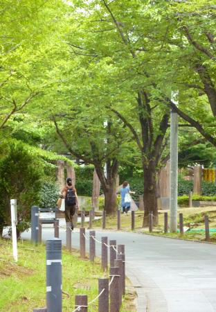 　緑豊かなめぐろ区民キャンパス＝東京都目黒区