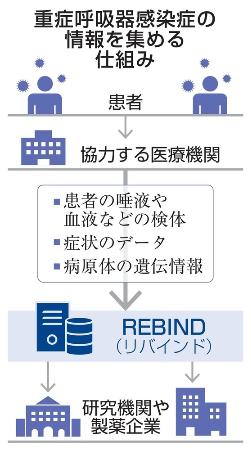 重症呼吸器感染症の情報を集める仕組み