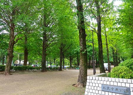 　園内にはイチョウなど数多くの樹木が植わっている＝東京都練馬区