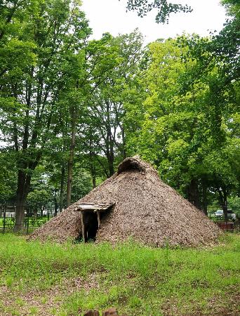 　復元された奈良時代初めごろの竪穴住居＝東京都練馬区