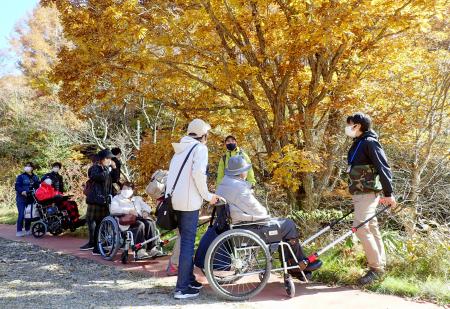 車いすで散策する観光客ら＝２０２３年１１月、長野県（県提供）