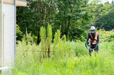 除染のため、特定帰還居住区域で宅地内の草を刈る作業員＝５日午前、福島県富岡町