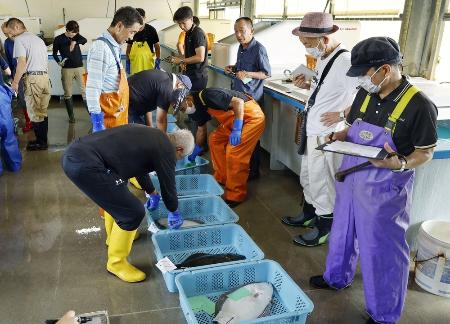 ８月、競りに集まった漁業者や仲買人＝福島県いわき市