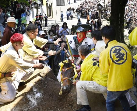 ２０２３年５月に行われた多度大社の「上げ馬神事」で、坂道を駆け上がり土壁越えに挑戦する馬＝三重県桑名市