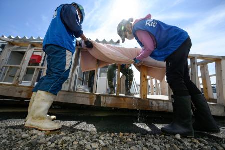 　豪雨で浸水被害を受けた石川県輪島市の仮設住宅で、濡れた布団を絞る災害ボランティア＝２４日午後