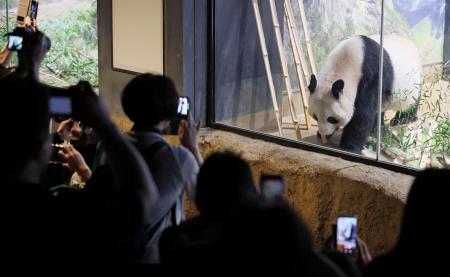 最終観覧日、ジャイアントパンダのシンシンを見に訪れた人たち＝２８日午後、東京・上野動物園（代表撮影）