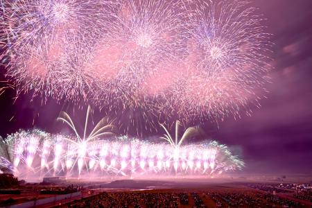 福島県双葉町で県内の花火師たちが復興や平和を願い打ち上げた花火＝２８日夜