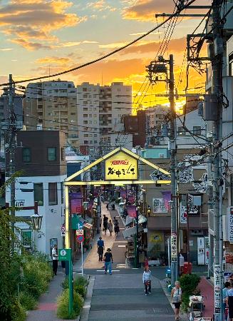 夕やけだんだんからの眺望。奥は谷中銀座商店街＝東京都内