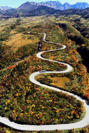 紅葉が見頃を迎えている、富山県と長野県を結ぶ観光路「立山黒部アルペンルート」＝１７日午前（共同通信社ヘリから）