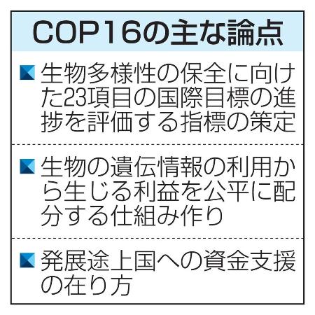 ＣＯＰ１６の主な論点