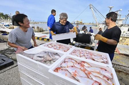 輪島港に水揚げされる魚。能登半島地震後初めて出荷された＝３１日午後、石川県輪島市