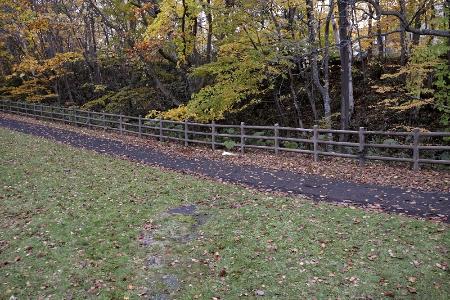 男子大学生が全裸で倒れているのが発見された現場付近＝１０月２９日、北海道江別市