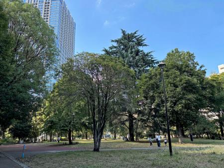 　都立戸山公園＝東京都新宿区