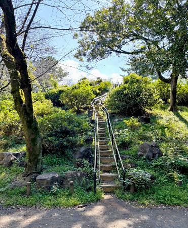 　箱根山の頂上に向かう階段＝東京都新宿区