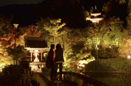 紅葉の名所として知られる永観堂禅林寺で行われた、夜の特別拝観「もみじのライトアップ」の試験点灯＝６日夜、京都市