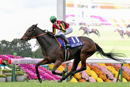 第４９回エリザベス女王杯を制したスタニングローズ＝京都競馬場