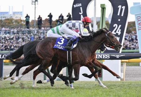 １１月のジャパンカップを制した武豊騎乗のドウデュース＝東京競馬場